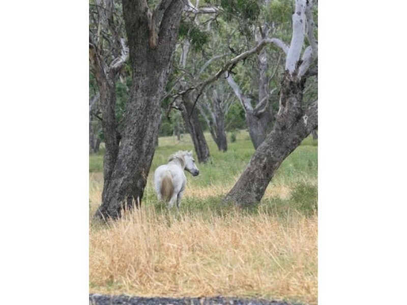 290 Back Plains Road, Clifton QLD 4361