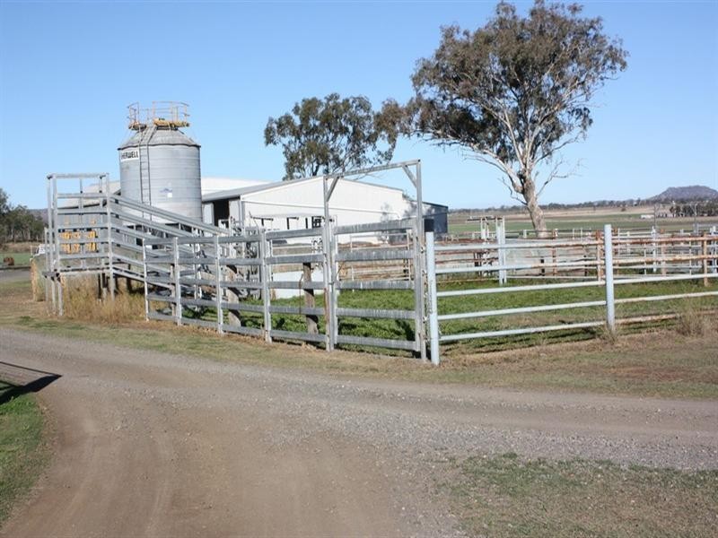 169 Costello Road, Oakey QLD 4401