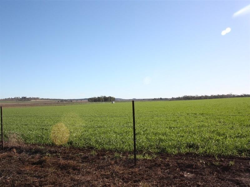 169 Costello Road, Oakey QLD 4401