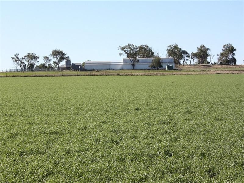 169 Costello Road, Oakey QLD 4401