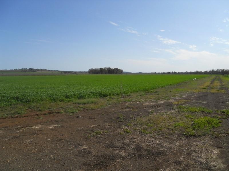 169 Costello Road, Oakey QLD 4401