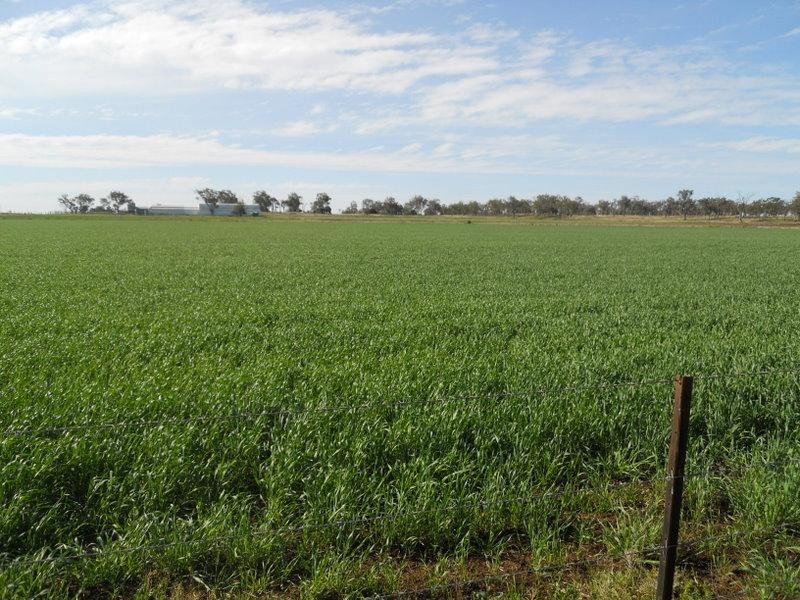 169 Costello Road, Oakey QLD 4401