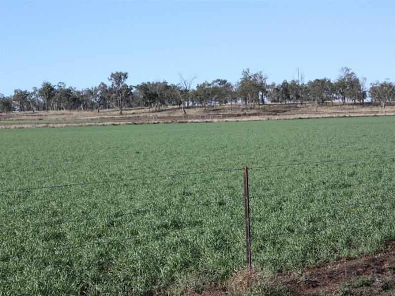 169 Costello Road, Oakey QLD 4401