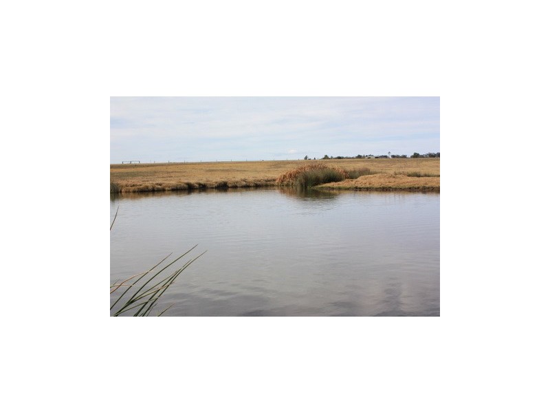 542 Old Elphinstone Road, Clifton QLD 4361