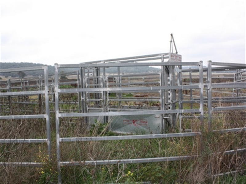 0 paddys Lane, Pittsworth QLD 4356