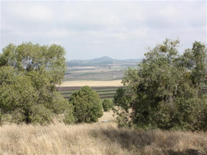 0 paddys Lane, Pittsworth QLD 4356