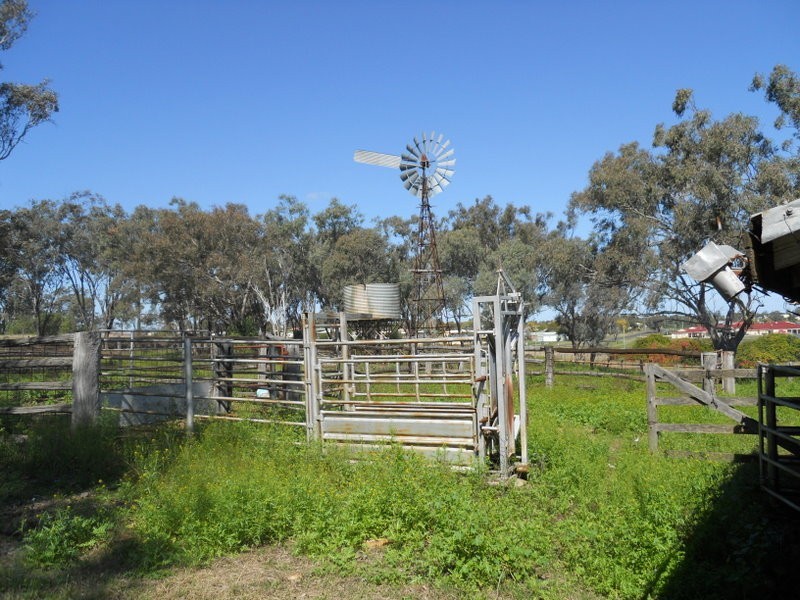 0 Pittsworth – Dallman Road, Pittsworth QLD 4356