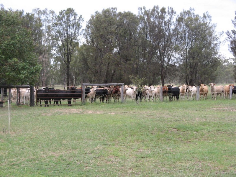 405 Dooley Road, Millmerran QLD 4357