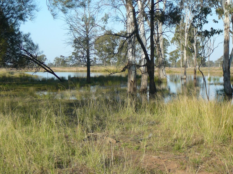 405 Dooley Road, Millmerran QLD 4357