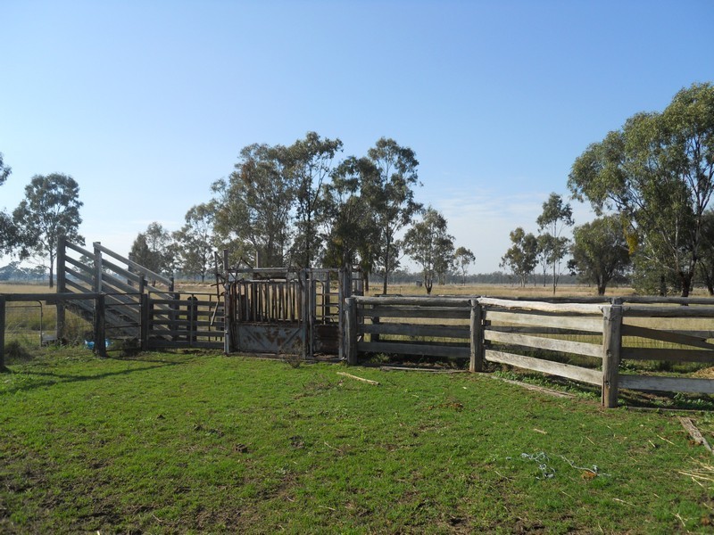 405 Dooley Road, Millmerran QLD 4357