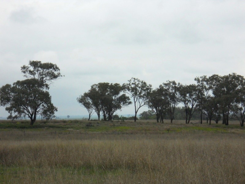 568 Knust Road, Mount Tyson QLD 4356