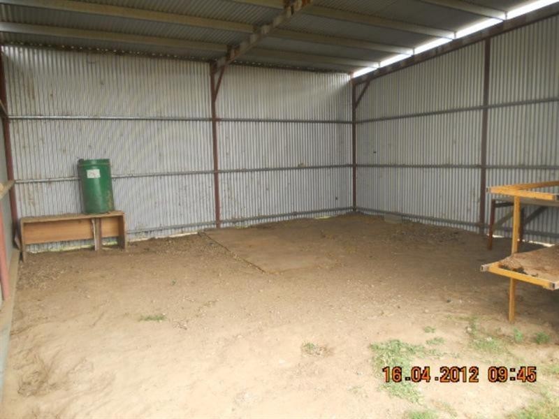 257 Tummaville Road, Leyburn QLD 4365