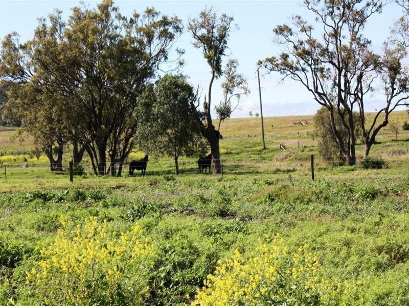 105 Beauaraba Road, Linthorpe QLD 4356