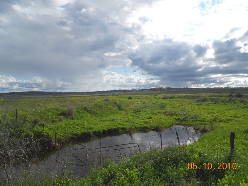 O Naumann Road, Back Plains, Clifton QLD 4361