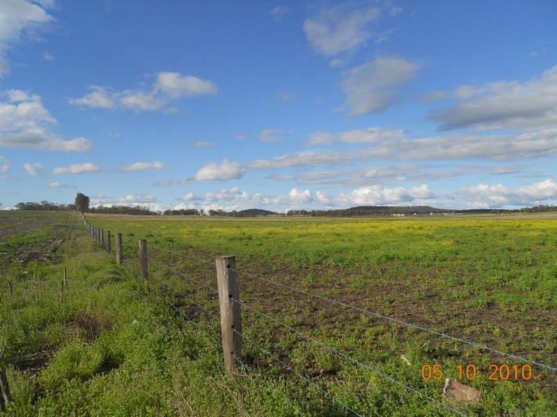 O Naumann Road, Back Plains, Clifton QLD 4361