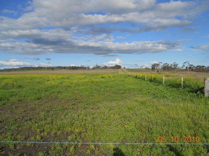O Naumann Road, Back Plains, Clifton QLD 4361