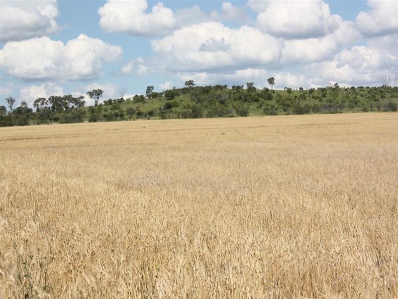 352 Yarranlea, Pittsworth QLD 4356