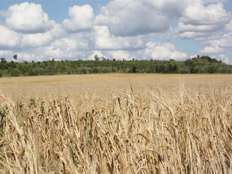 352 Yarranlea, Pittsworth QLD 4356