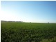 241 Pauli Rd Back Plains, Clifton QLD 4361