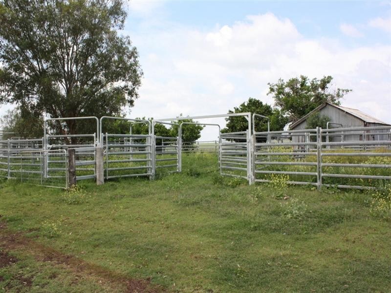 241 Pauli Rd Back Plains, Clifton QLD 4361