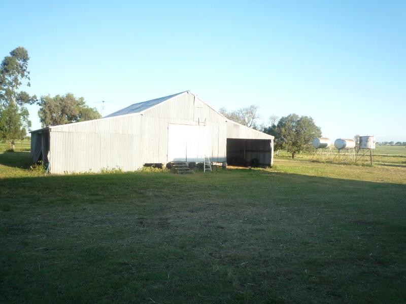 241 Pauli Rd Back Plains, Clifton QLD 4361