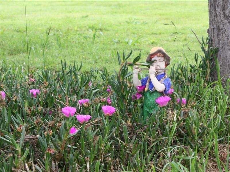 39 Canning Street, Leyburn QLD 4365