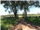 572 Condamine River Road, Pratten QLD 4370