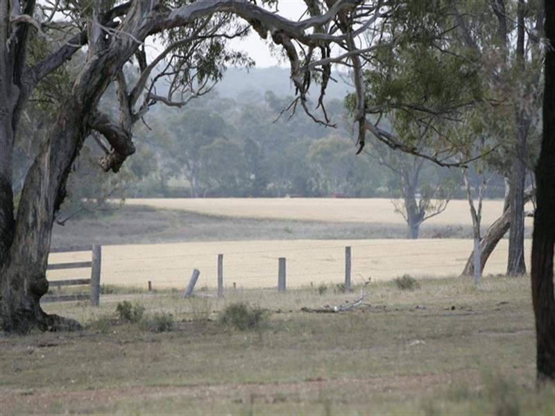 572 Condamine River Road, Pratten QLD 4370