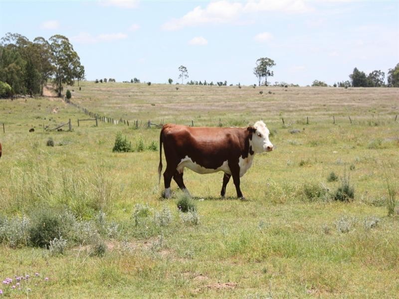 0 Kooroongarra Road, Millmerran QLD 4357