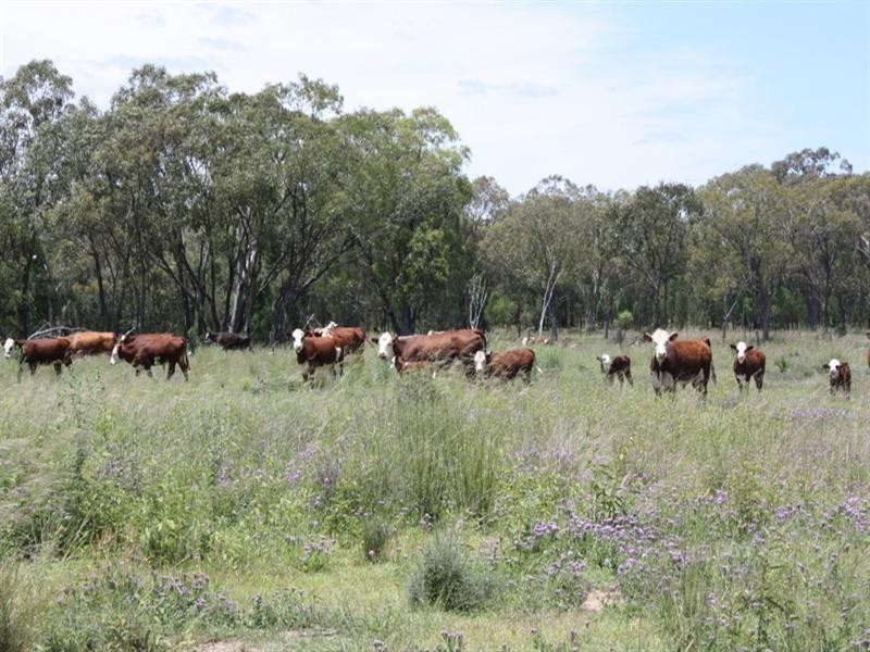 0 Kooroongarra Road, Millmerran QLD 4357