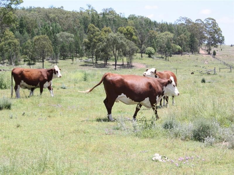 0 Kooroongarra Road, Millmerran QLD 4357