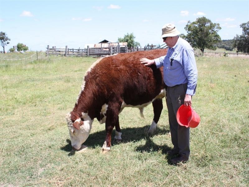 0 Kooroongarra Road, Millmerran QLD 4357