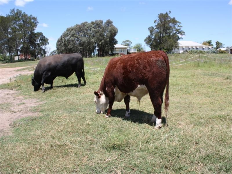 0 Kooroongarra Road, Millmerran QLD 4357