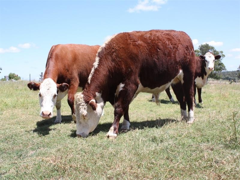 0 Kooroongarra Road, Millmerran QLD 4357