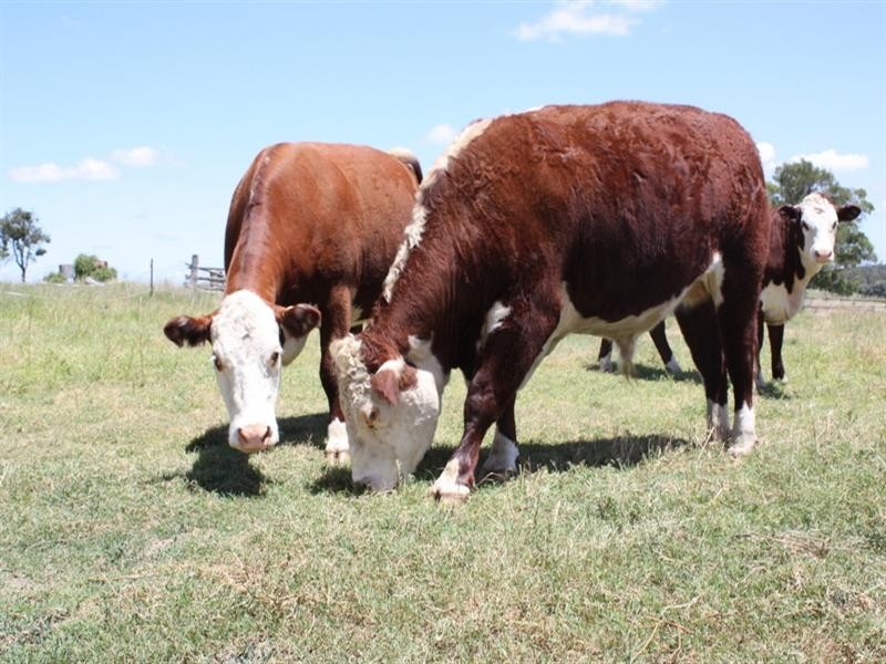 0 Kooroongarra Road, Millmerran QLD 4357