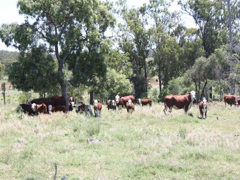 0 Kooroongarra Road, Millmerran QLD 4357