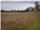 1663 Millmerran-Leyburn Road, Millmerran QLD 4357