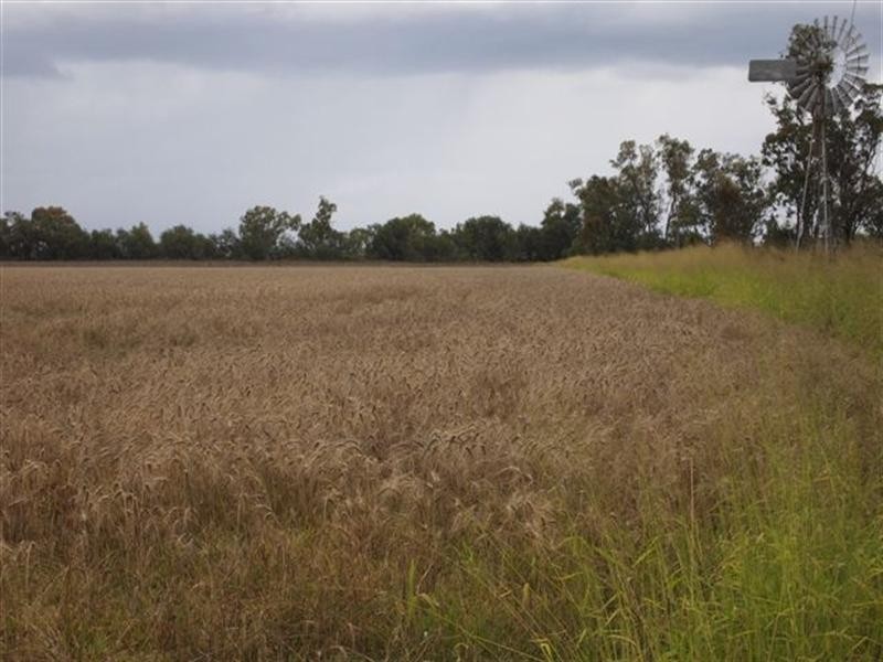 1663 Millmerran-Leyburn Road, Millmerran QLD 4357