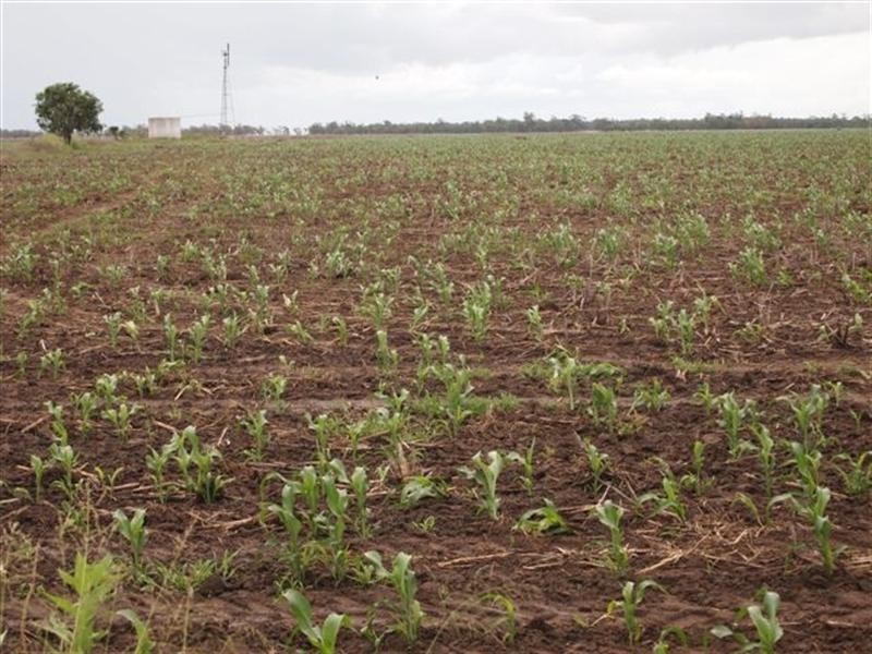 000 Millmerran-Leyburn Road, Millmerran QLD 4357