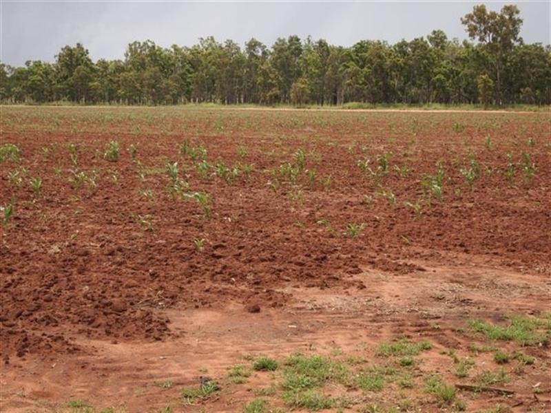 000 Millmerran-Leyburn Road, Millmerran QLD 4357