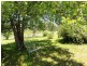572 Condamine River Road, Pratten, Allora QLD 4362