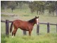 572 Condamine River Road, Pratten, Allora QLD 4362