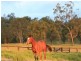 572 Condamine River Road, Pratten, Allora QLD 4362
