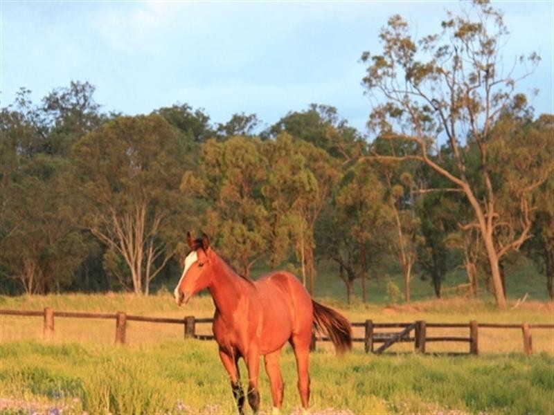 572 Condamine River Road, Pratten, Allora QLD 4362