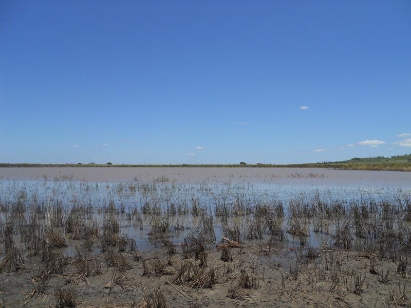 2/3 Tummaville Road, Pittsworth QLD 4356