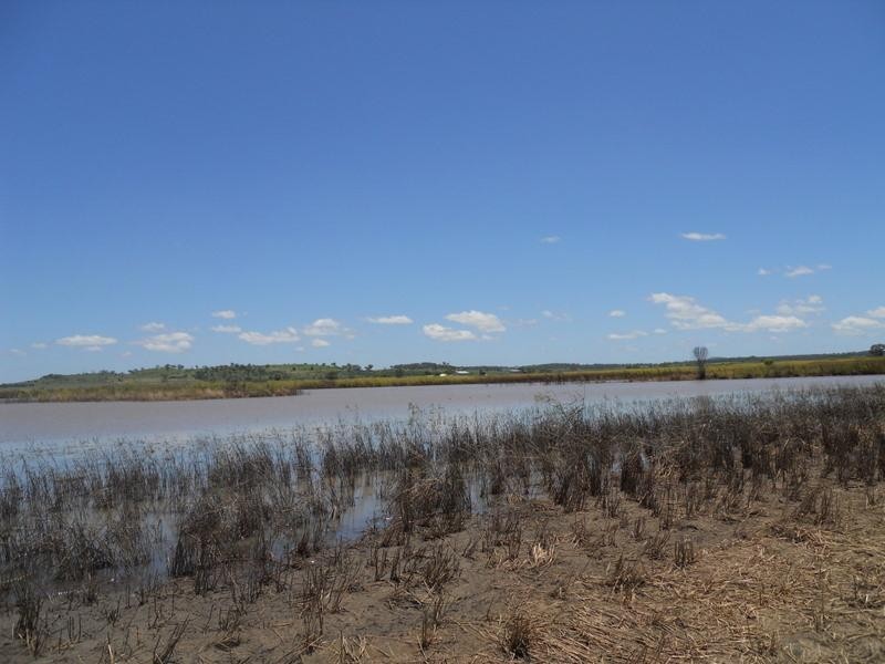 2/3 Tummaville Road, Pittsworth QLD 4356