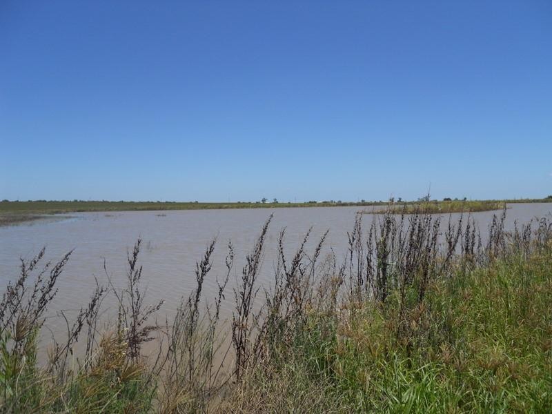 2/3 Tummaville Road, Pittsworth QLD 4356