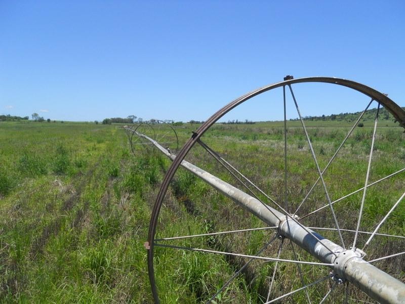 2/3 Tummaville Road, Pittsworth QLD 4356