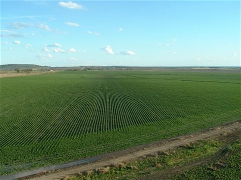 351 Yarranlea Road, Pittsworth QLD 4356