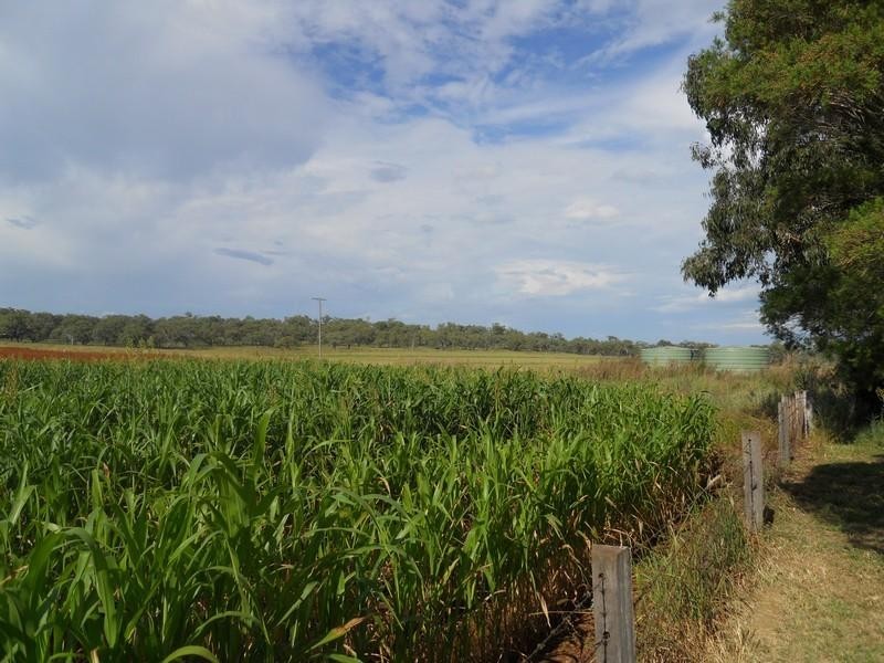 00 Saville Road, Clifton QLD 4361